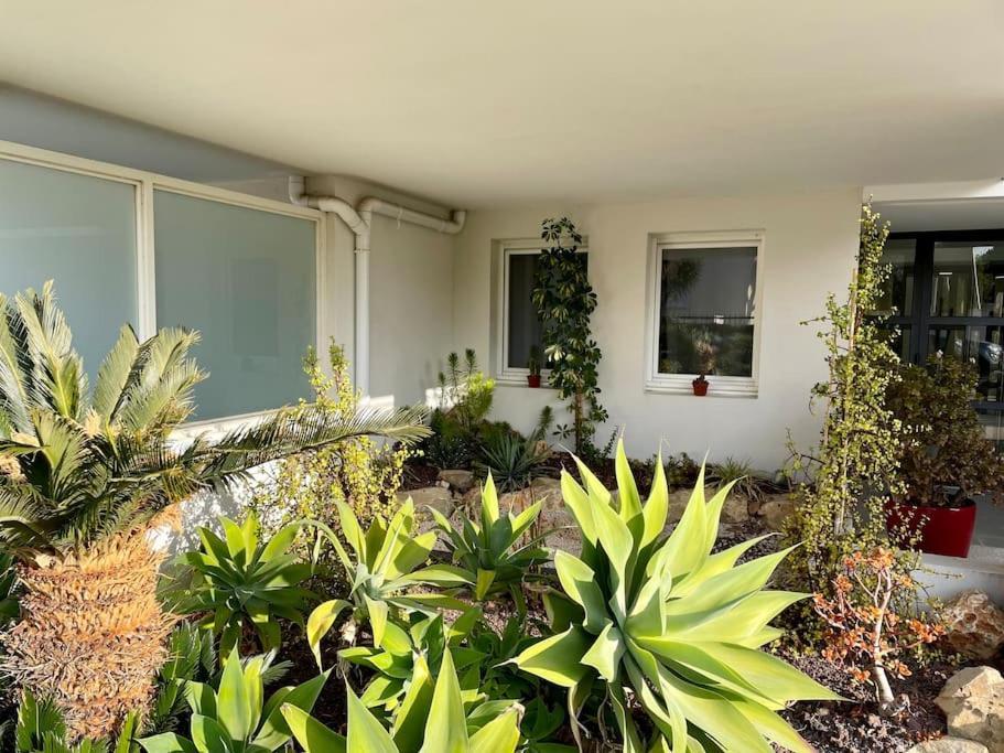 Apartmán 21 - Tres Agreable Rdc Avec Terrasse Et Parking Bandol Exteriér fotografie