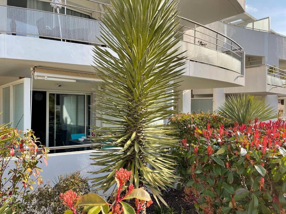 Apartmán 21 - Tres Agreable Rdc Avec Terrasse Et Parking Bandol Exteriér fotografie