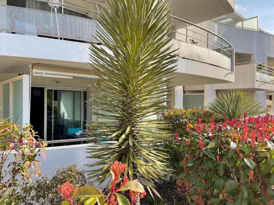 Apartmán 21 - Tres Agreable Rdc Avec Terrasse Et Parking Bandol Exteriér fotografie