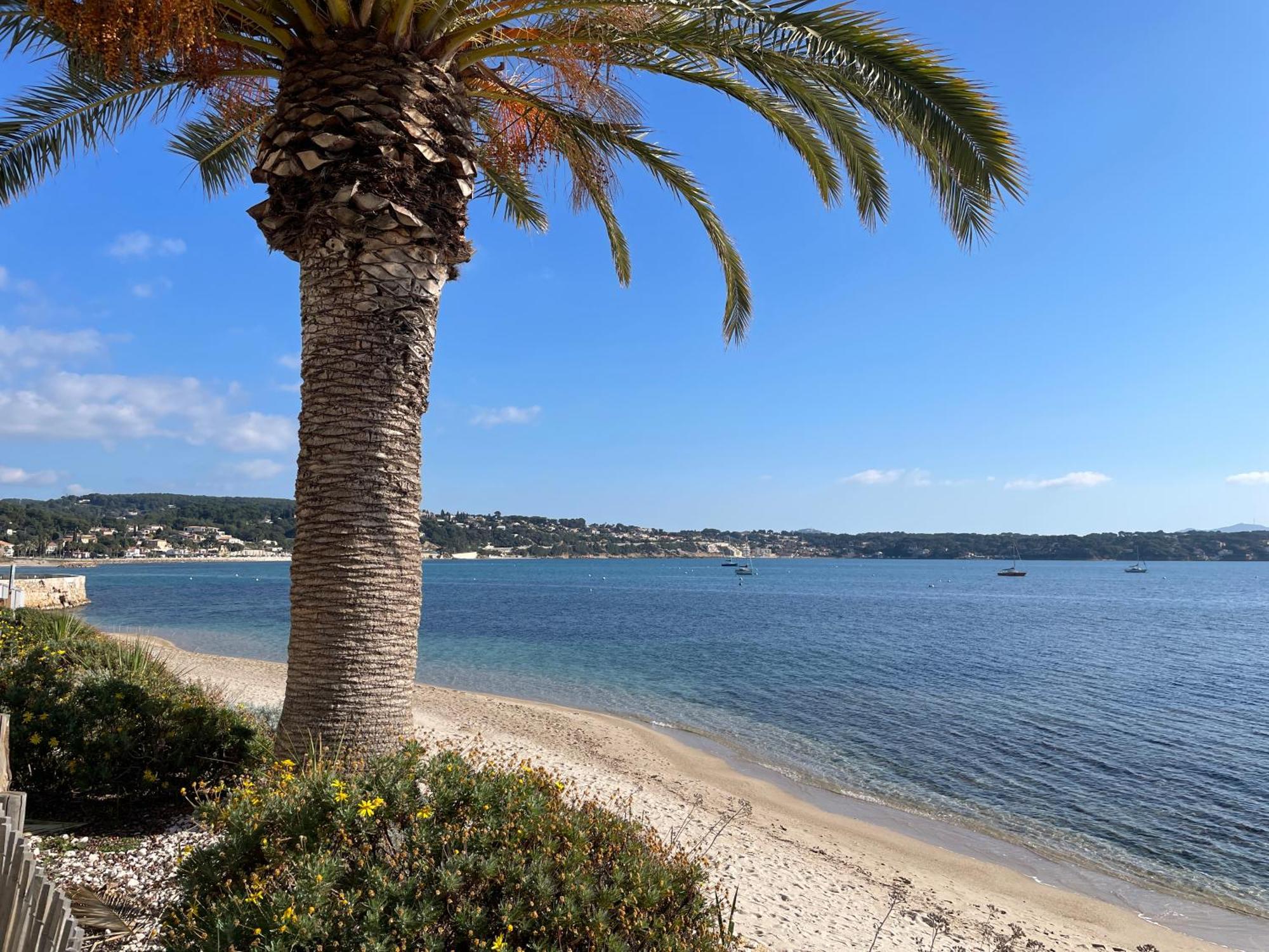 Apartmán 21 - Tres Agreable Rdc Avec Terrasse Et Parking Bandol Exteriér fotografie